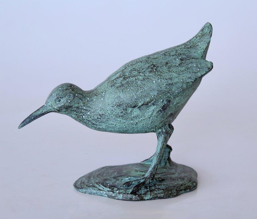 Green Sandpiper Bird